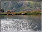 foto Lago di Montalon